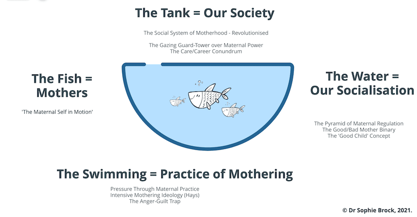 The Fish Tank Model aids in support of understanding matrescence. 